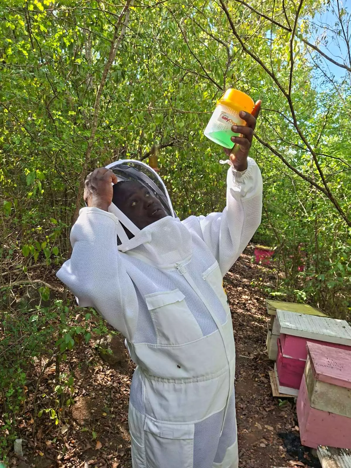 Antigua Strengthens Fight Against Deadly Varroa Mite with Innovative Beekeeping Project