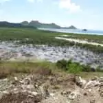 Restrictions Still in Place at Hanson’s Bay as Testing Continues