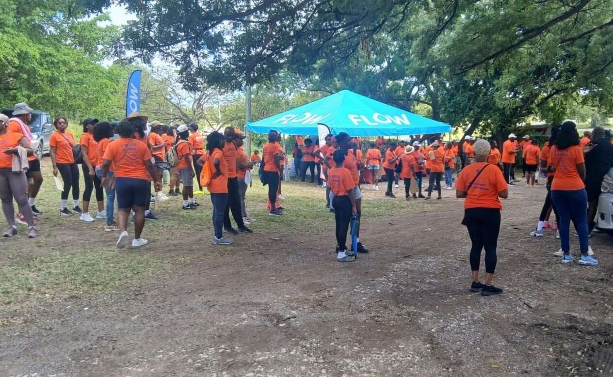 Hundreds Turn Out in Orange for IHO's 2026 Stop GBV Walk