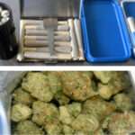 U.S. National Arrested at V.C. Bird Airport with Cannabis