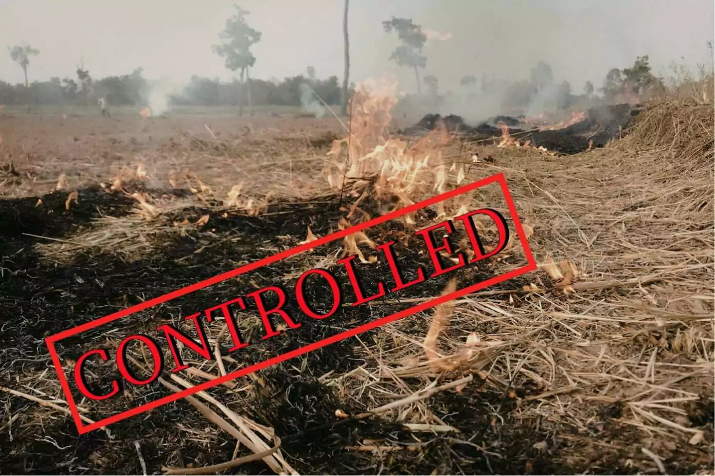 NSWMA announces landfill operation has returned to normal following weekend blaze