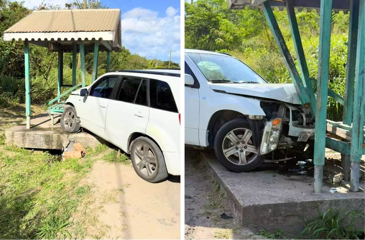 Two Women and Two Children Struck in Clark’s Hill After Driver Suffers Blackout