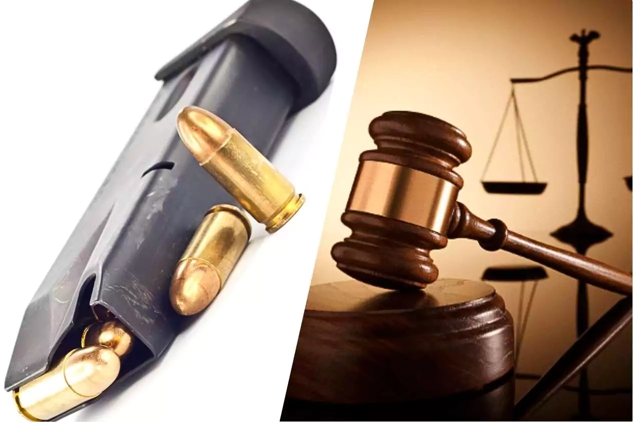 Man Pleads Guilty to Possession of Magazine Found in Speaker