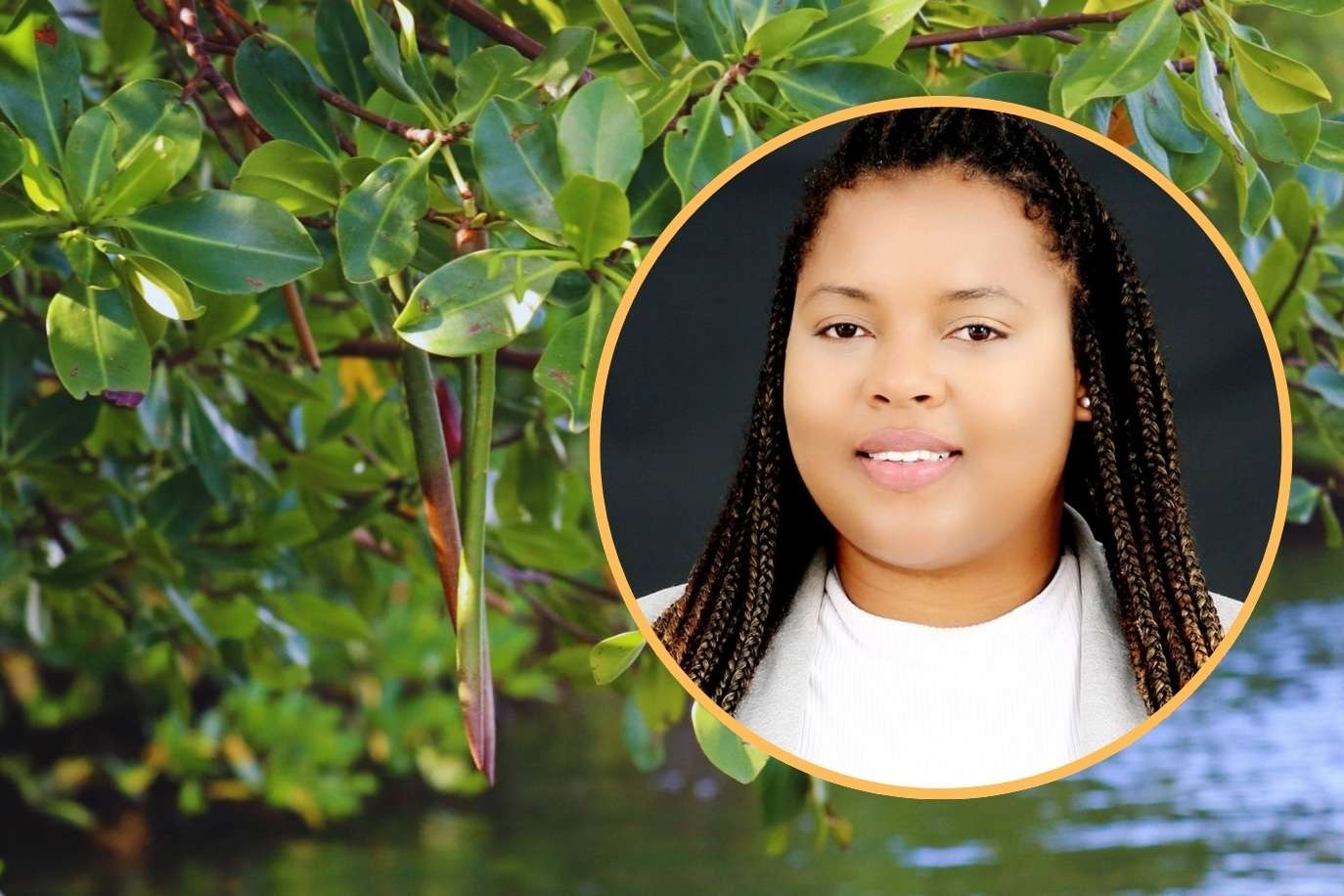 Residents of Parham, Seatons and Glanvilles Invited to Help Shape Conservation Efforts in NEMMA