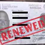 Surge in Voter ID Renewals as Election Momentum Builds