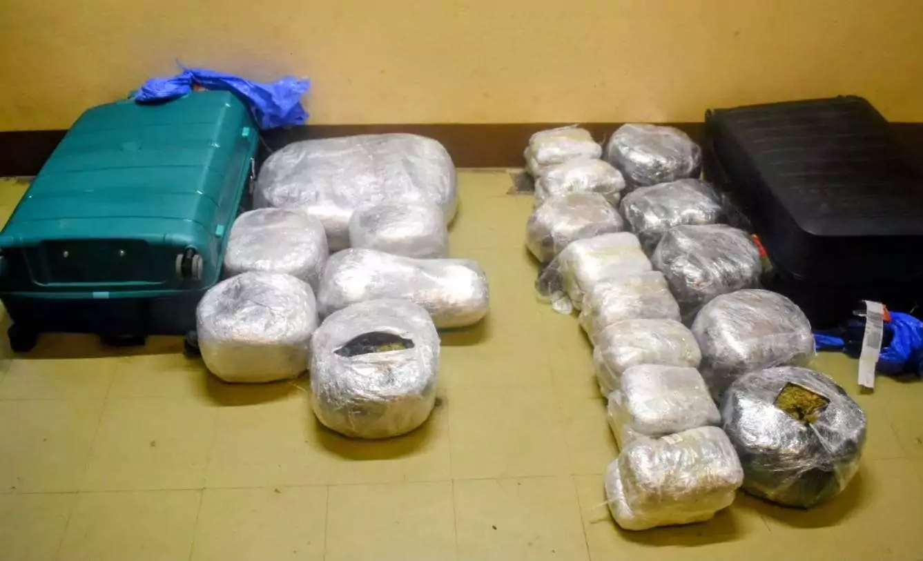 Major Cannabis Seizure at V.C. Bird International Airport