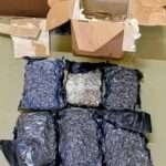 Cannabis Worth EC$78,000 Seized at Airport Cargo Shed