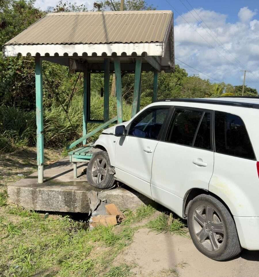 Two Women and Two Children Struck in Clark’s Hill After Driver Suffers Blackout