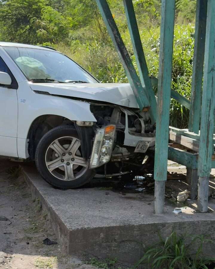 Two Women and Two Children Struck in Clark’s Hill After Driver Suffers Blackout 