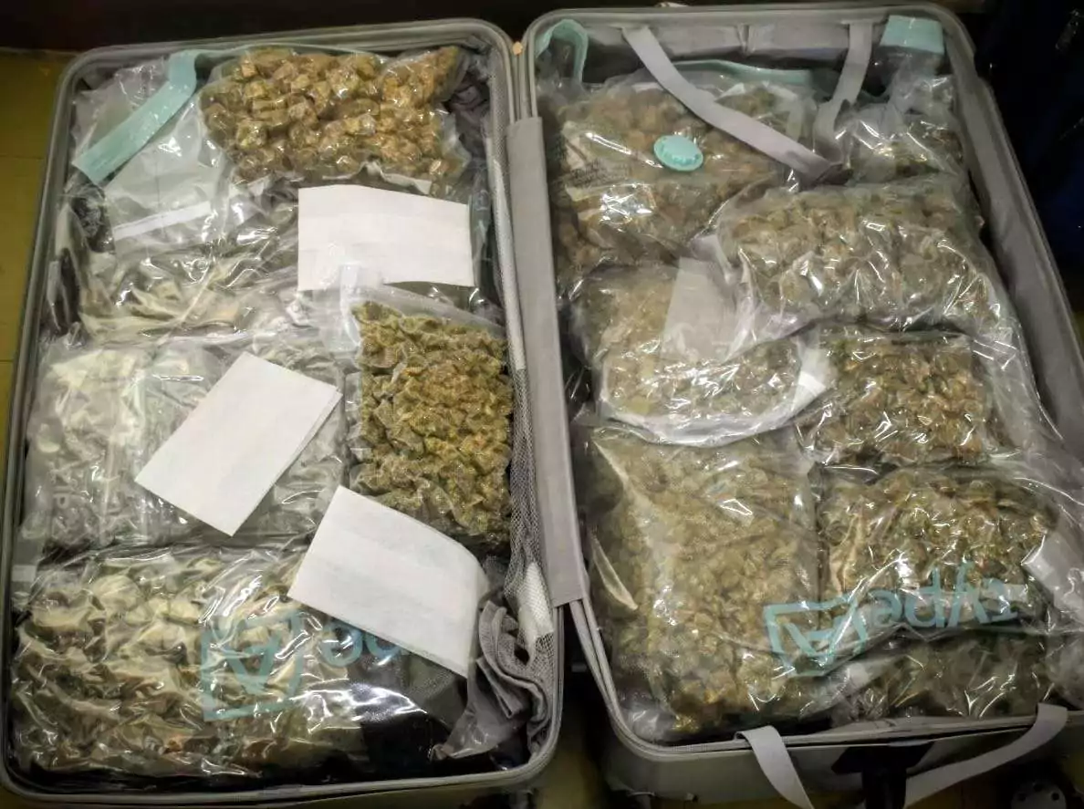 Canadian National Charged After Cannabis Seizure at V.C. Bird Airport