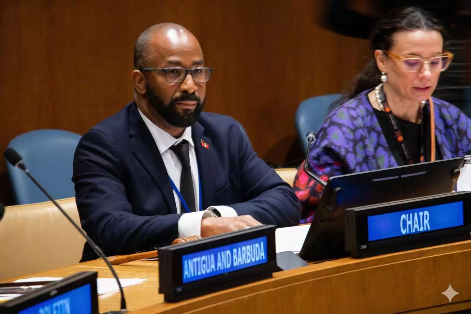 Antigua and Barbuda chairs UN selection process for prestigious population award