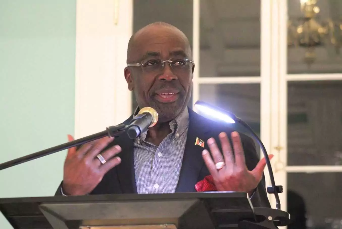 Greene Urges Ireland to Champion SIDS as EU Presidency Nears