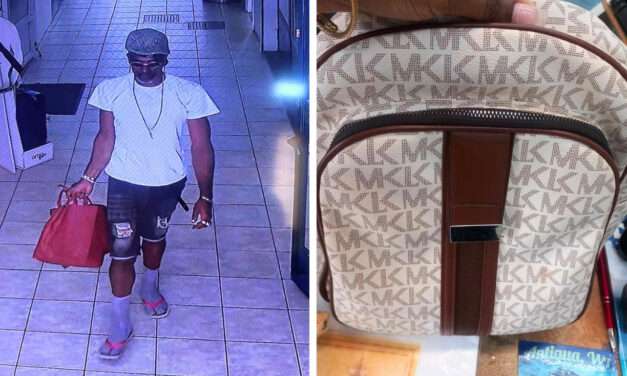 VIDEO: Owner Seeks Help After Bag Taken in Heritage Quay