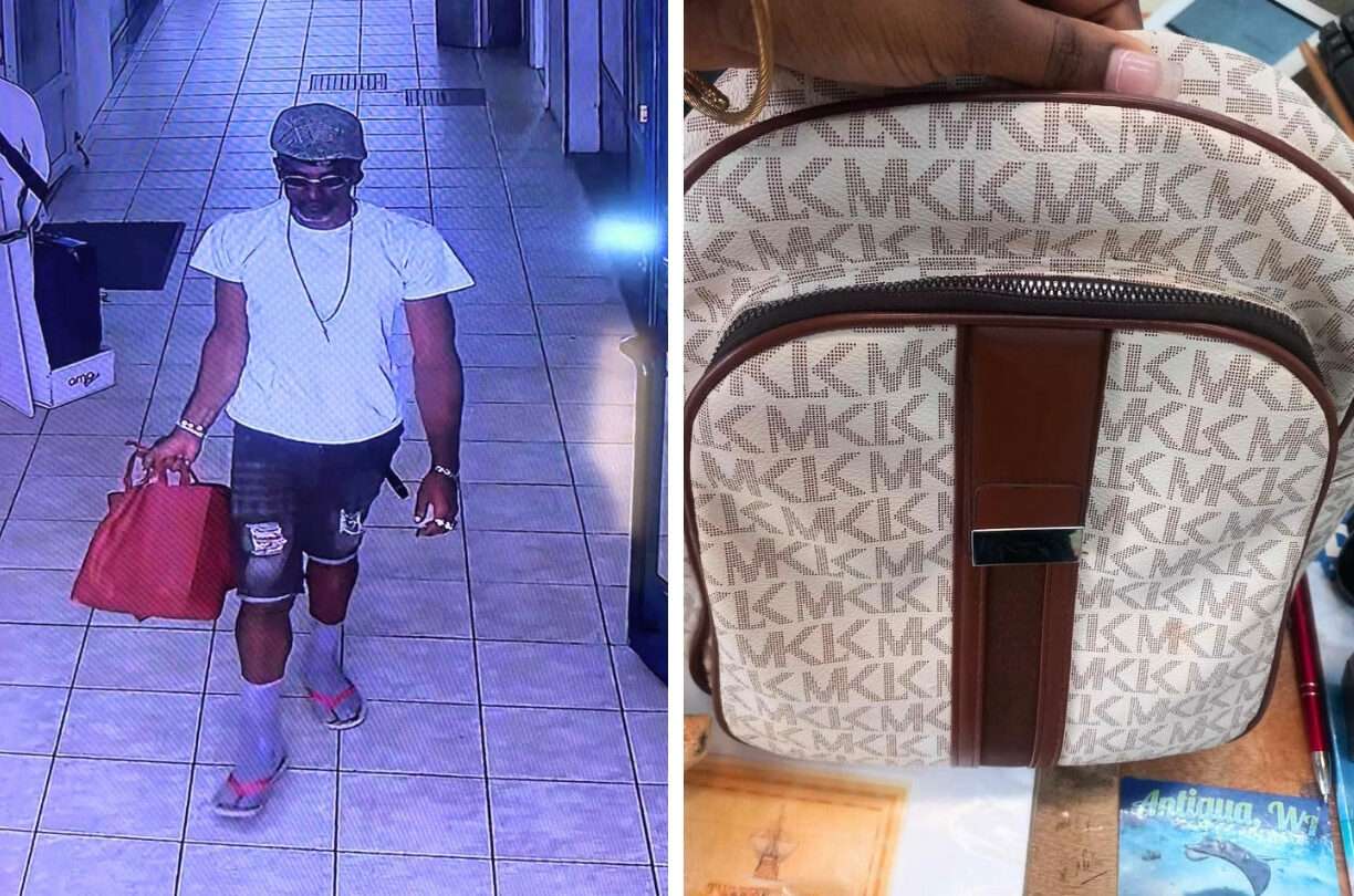 VIDEO: Owner Seeks Help After Bag Taken in Heritage Quay