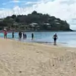 BREAKING: Shark Spotted Near Shoreline at Ffryes Beach Sends Swimmers Scrambling