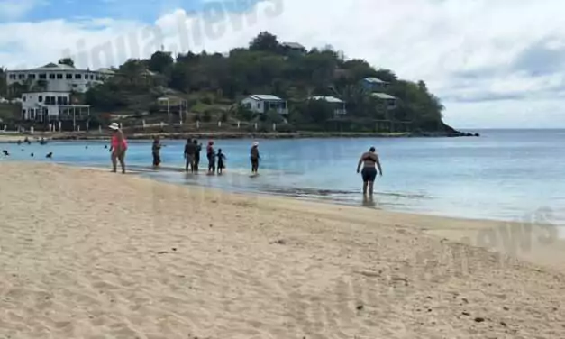BREAKING: Shark Spotted Near Shoreline at Ffryes Beach Sends Swimmers Scrambling