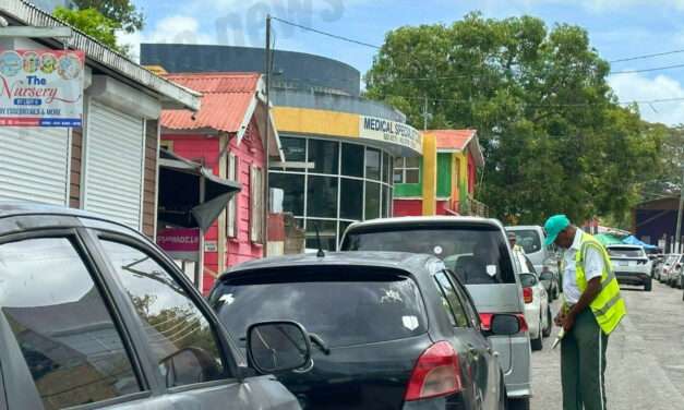 Ticket Blitz in St. John’s as Traffic Police Target Illegal Parking