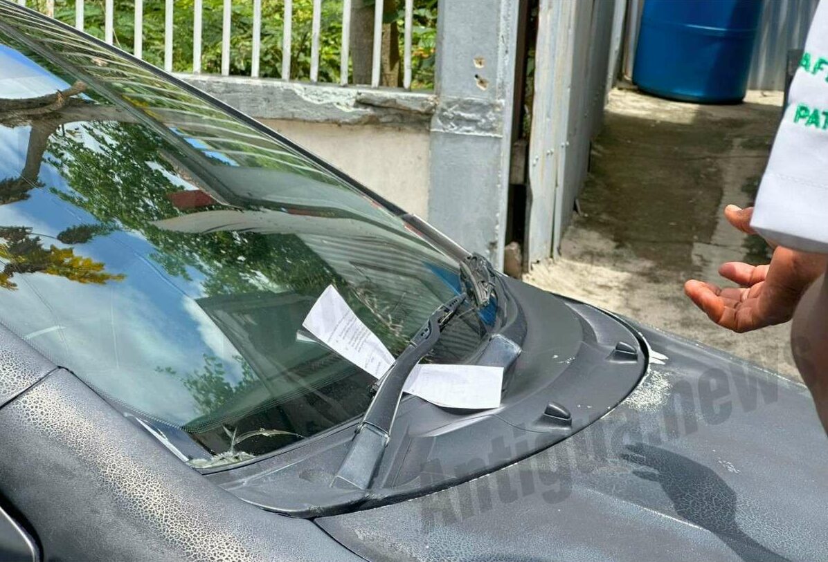 Ticket Blitz in St. John’s as Traffic Police Target Illegal Parking