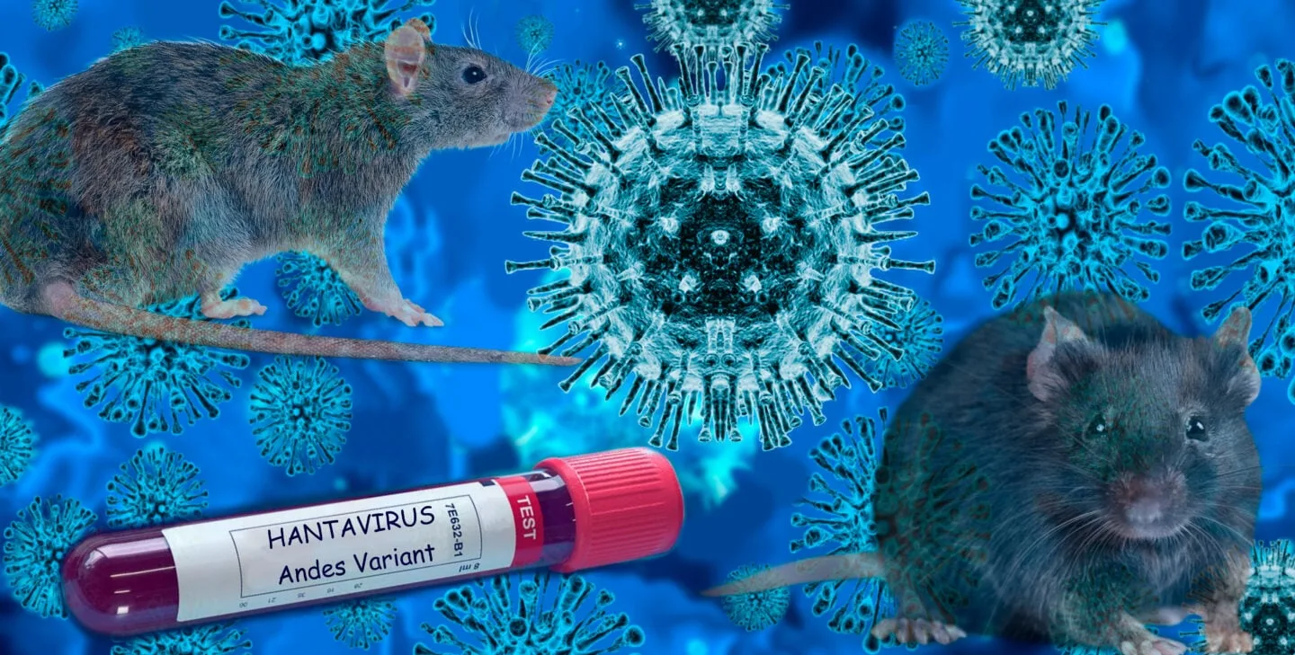 Health Ministry Says Hantavirus Risk to Antigua and Barbuda Remains Low After Three Deaths Linked to Cruise Ship Outbreak