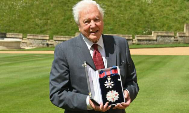Sir David Attenborough Celebrates His 100th Birthday