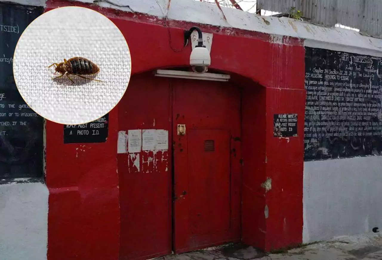 Canadian Drug Accused Complains of Bed Bugs at His Majesty's Prison
