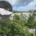Police Probe Death of 75-Year-Old Man Found in McKinnons Salt Pond