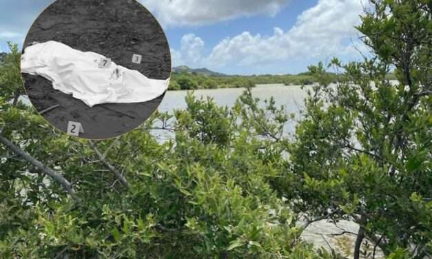 Police Probe Death of 75-Year-Old Man Found in McKinnons Salt Pond
