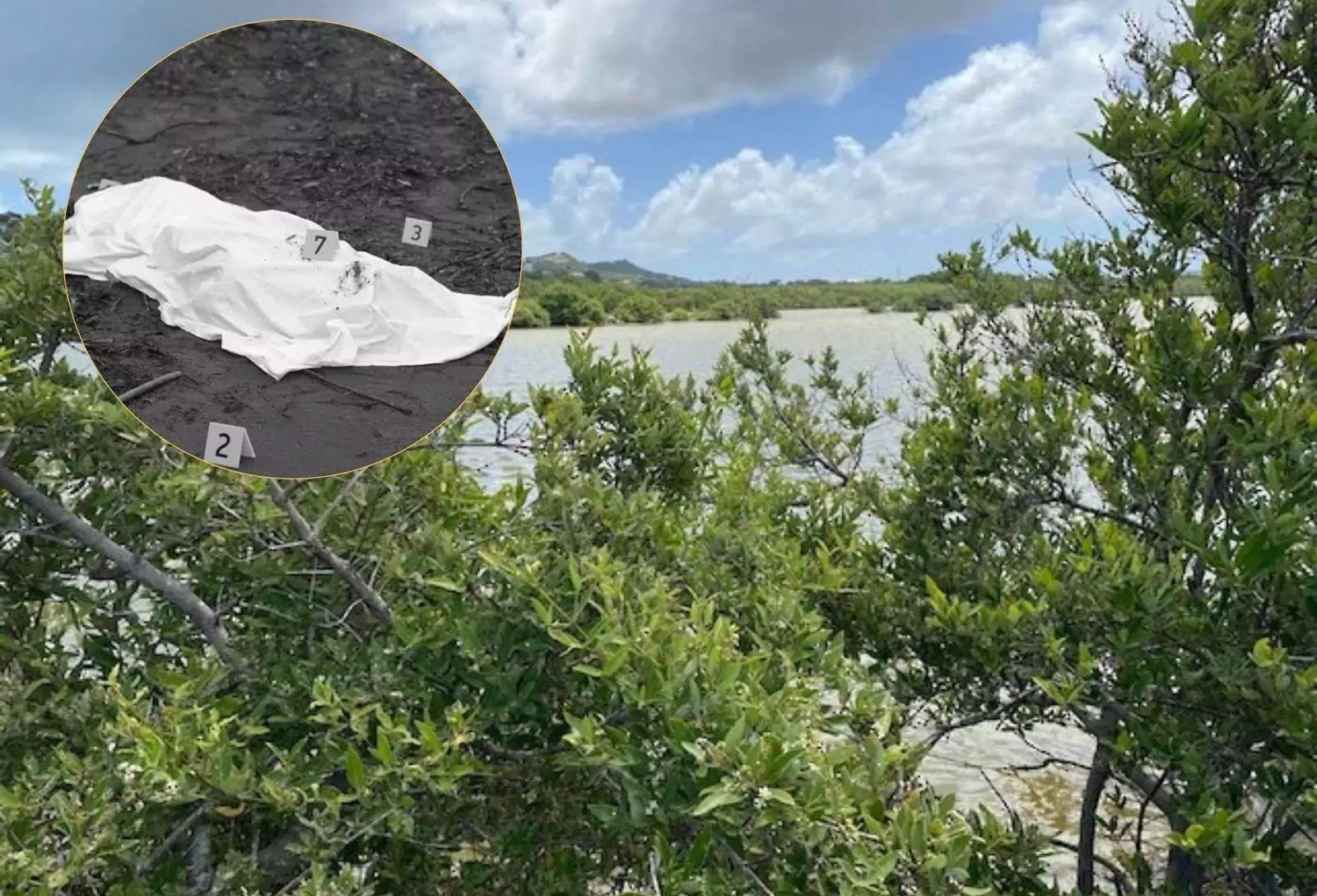 Police Probe Death of 75-Year-Old Man Found in McKinnons Salt Pond