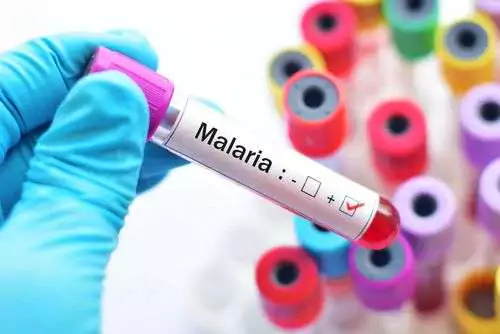 Health Ministry Says Risk To Public Remains Low Despite Malaria Cases