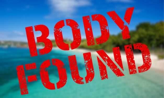 Search for Missing Swimmer Ends in Tragedy as Body Recovered at Pigeon Point Beach
