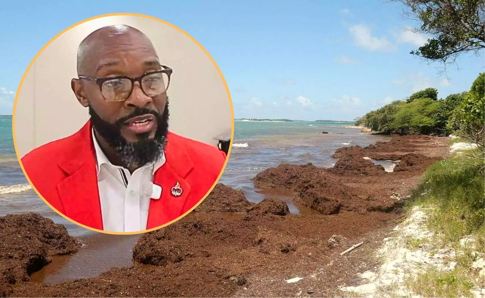 Freeland Highlights Push for Sargassum Solutions as Seaweed Crisis Threatens Tourism