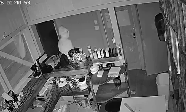VIDEO: Alarm Foils Late-Night Robbery Attempt at Aunty Cavelle’s Restaurant