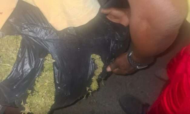 Two Men Detained Following Major Drug Bust on Pares Main Road