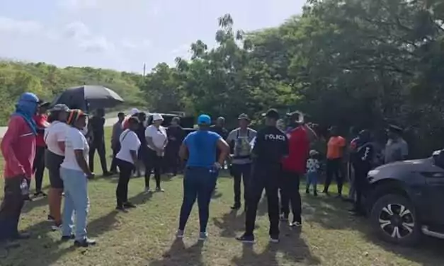 Search Intensifies as Teams Return to Brown’s Bay in Bid to Find Missing Shenett Jacobs