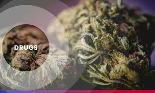 Police and Customs Seize $66,000 Worth of Cannabis at V.C. Bird International Airport