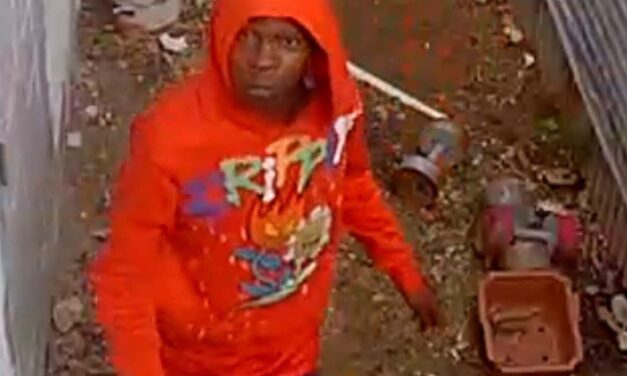 VIDEO: Public’s Help Sought to Identify Individual After Attempted Break-In at Nut Grove Home