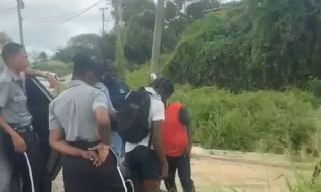VIDEO: Suspect Arrested After Stolen Quad Recovered Near Tyrells